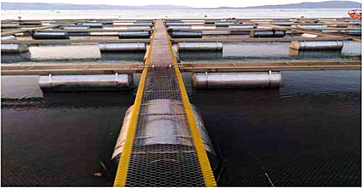 34c422620786d9f73411242e3e9effbd